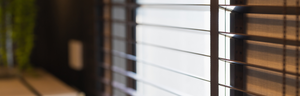   Transform Your Space with Premium Blinds 